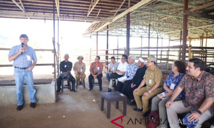 
																															Australian Embassy Staff George Hughes and James Ghaeni visited cattle breeding in Sungai Aris Village, Tambang Ulang, Tanah Laut
															