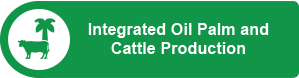 Integrated oil palm and cattle production